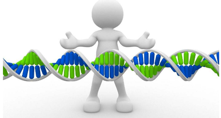 得了多指怎么办?基因检测,让多指并指生孩子不再遗传可能吗?