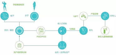 高特佳投资辅助生殖基因检测龙头嘉宝仁和,加速细分领域布局