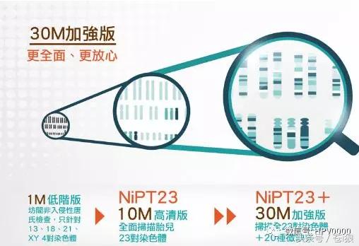 基因检测 nipt23 8周 dna筛查