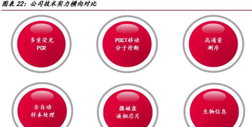 圣湘生物研究报告 分子龙头蓄势深耕全球市场