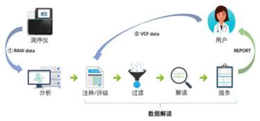 华为云助力基因检测科研,为生物产业发展加力续航