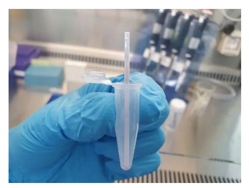 科学家开发dna检测工具 检查食品中是否含有被禁止的肉类