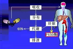 孩子发烧一定要用抗生素么 基因检测给你答案